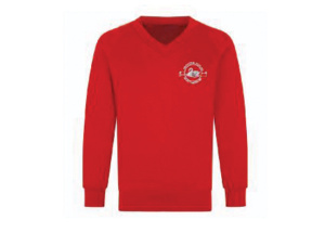 Parsons Down Junior Sweatshirt